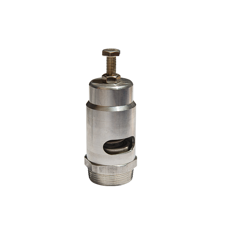 Aluminium -Sicherheitsventil